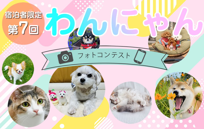 ワンにゃん写真コンテスト結果発表